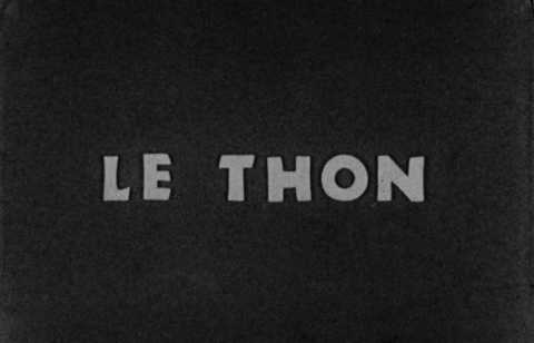 Thon (Le)