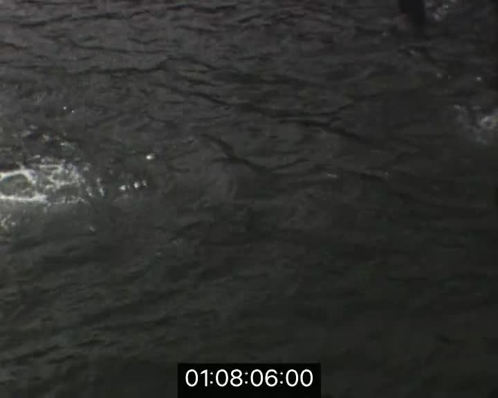 Rondes de la vie (Les), Vacances nouvelles