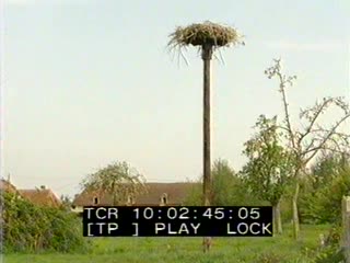 Centre de Sauvegarde de la Faune sauvage à St Julien de Mailloc au printemps 2/3 (Le)