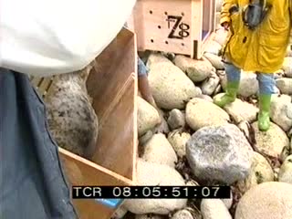 Centre de la Ligue pour la Protection des Oiseaux sur l'île Grande en hiver 7/8 (Le)