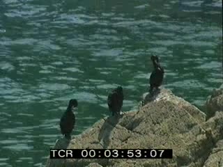 Plouha au printemps 2/5