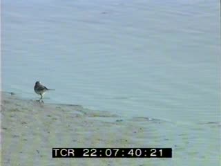 Baie de Saint Brieuc en automne 6/16 (La)