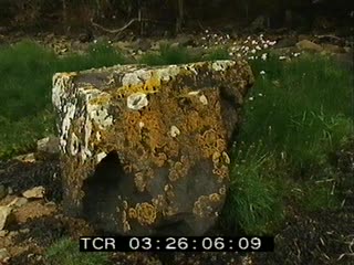 Estuaire du Trieux au printemps 1/2 (L')