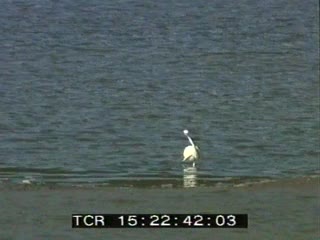 Trieux en automne 1/2 (Le)