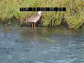 Baie de Saint Brieuc en été 5/8 (La)