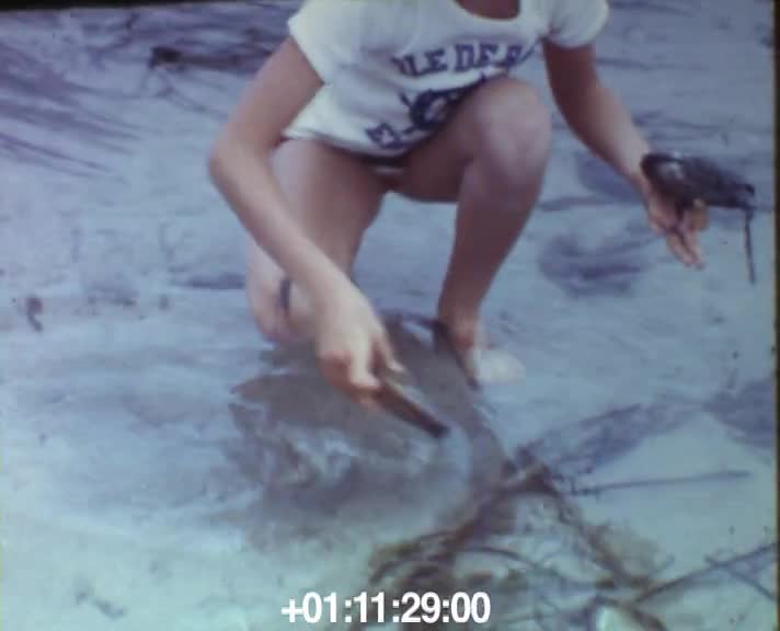 Ile de Batz, vingt ans après
