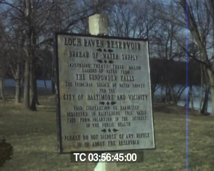 Mariage Elisabeth ; USA