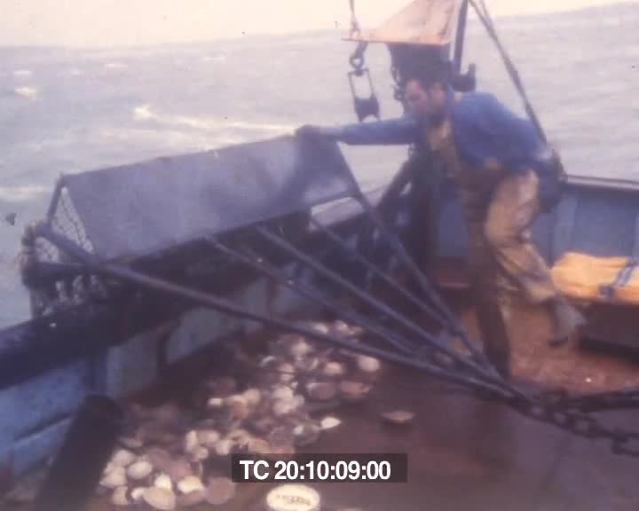 Pêche à la coquille (chutes)