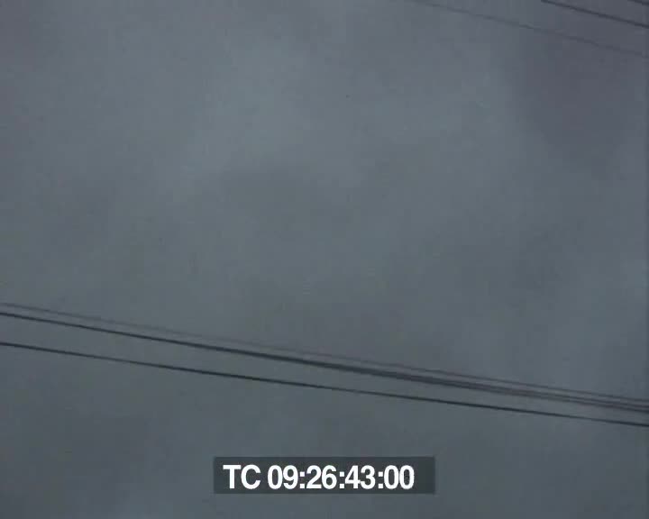 Carnavals de Plérin