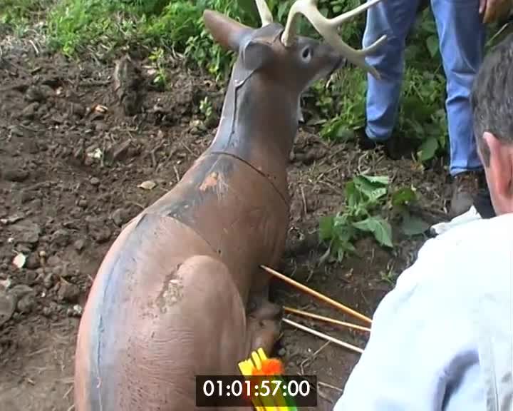 Archers à Saint-Renan (Les)