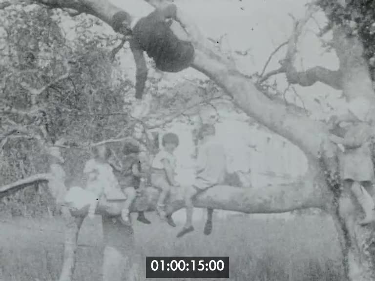 Enfants sur l'arbre à Marray pentecôte 1929 (Les)