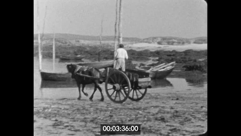 Moissonneurs de la mer. Années 1936-37  (Les)