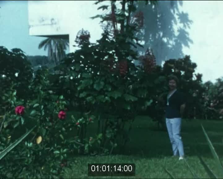 Jardin des plants