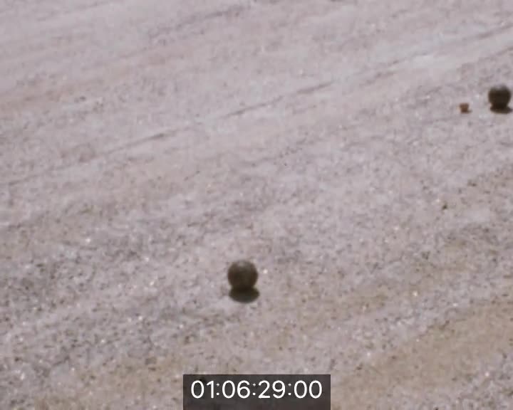 Malamock rentrant au Guilvinec