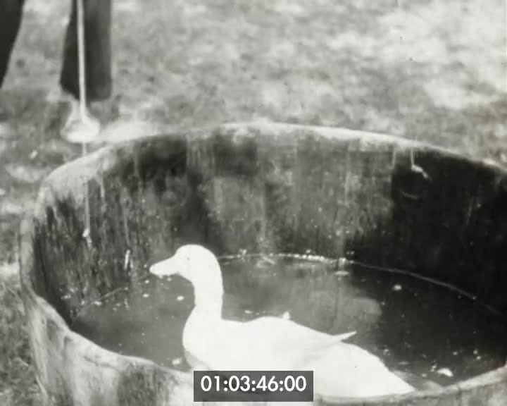 Remise de décorations à des femmes...