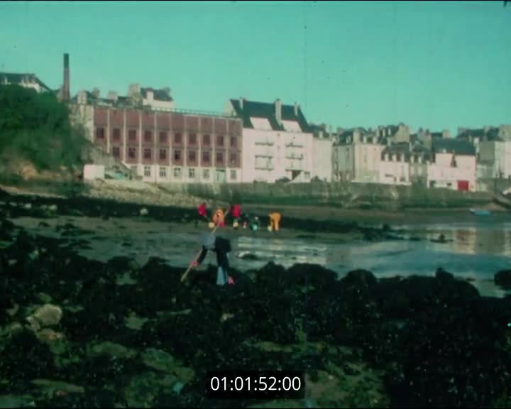 Films scolaires de Douarnenez - Collège Ste Elisabeth - 5ème D - Marée noire