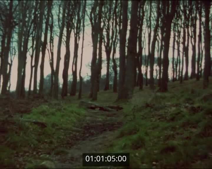 Films scolaires de Douarnenez - Collège Ste Elisabeth - 3 ème F - La perle de Steinbeck