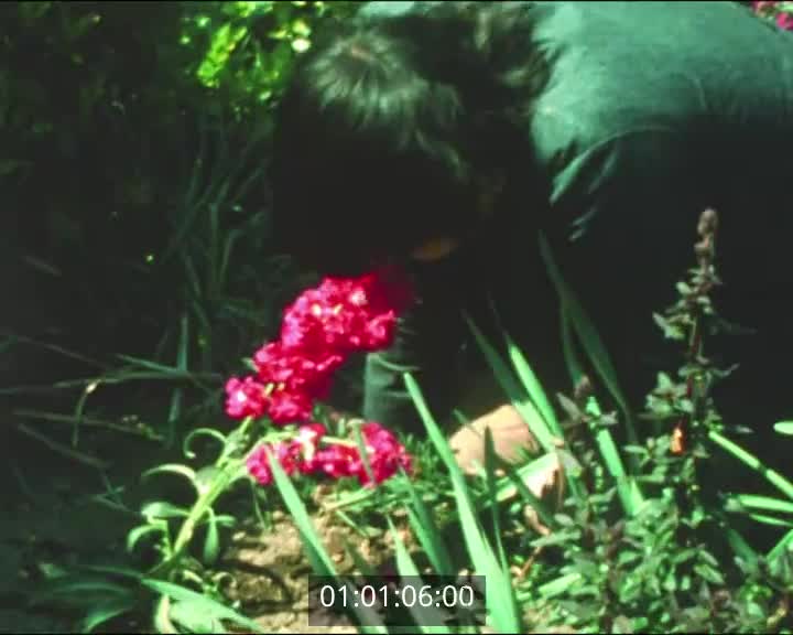 Films scolaires de Pont  l'Abbé - Collège St Gabriel - 4ème A1 (6) - La fleur
