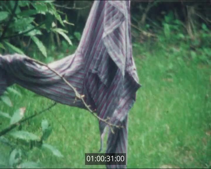 Films scolaires de Pont  l'Abbé - A identifier (1)