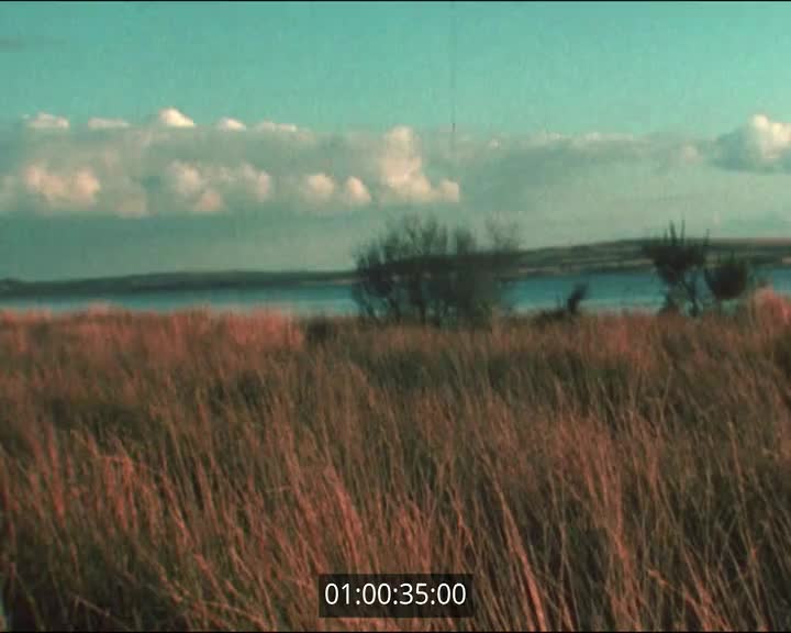 Films scolaires de Pont  l'Abbé - A identifier (5)