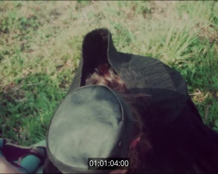 Film scolaire Chateaulin - 5ème C - Le Pique-Nique des Dupont