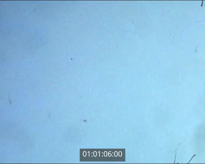 Films scolaires de Quimper - Collège Ste Thérèse - 3ème L (3)