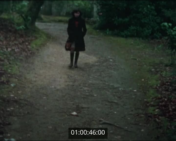 Films scolaires de Quimperlé- 4ème  IA - Enlèvement de la fille "Cromagnon"