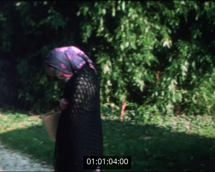 Films scolaires de Quimperlé - Collège Kerbertrand -3ème II - Berta