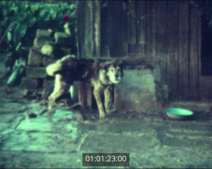 Films scolaires de Saint Pol de Léon - Kreisker - 4ème II (2)