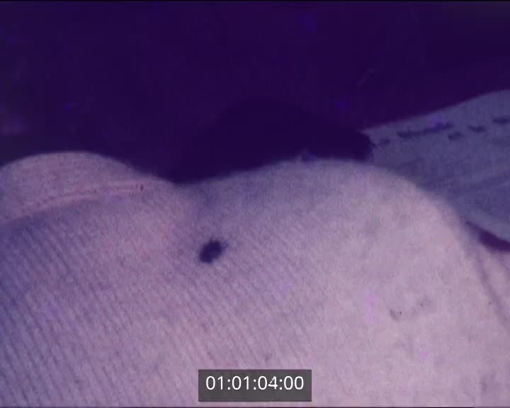 Films scolaires de Lesneven - St François - 3ème I A (2)