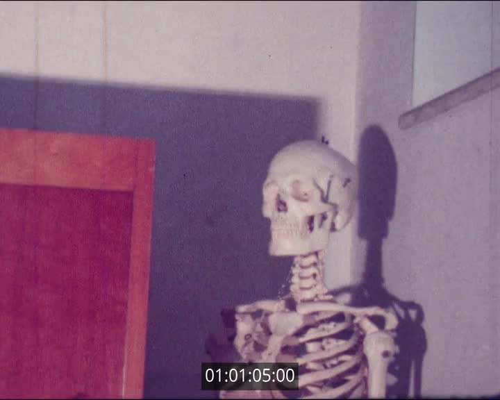 Films scolaires de Pors...? -  4ème IA