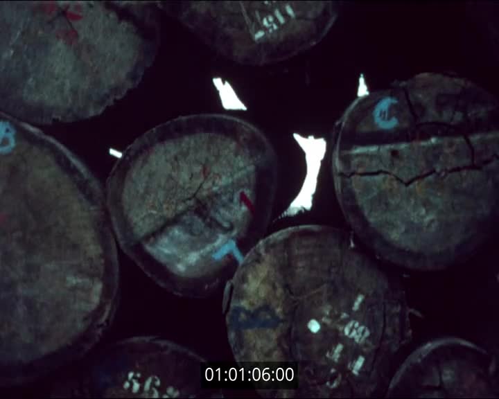 Films scolaires de Lesneven - ND de Lourdes