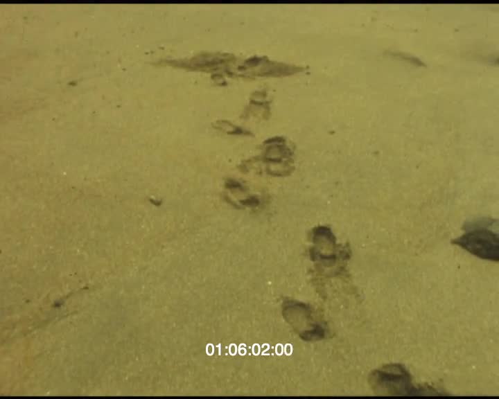 Voyage au fond de la cour